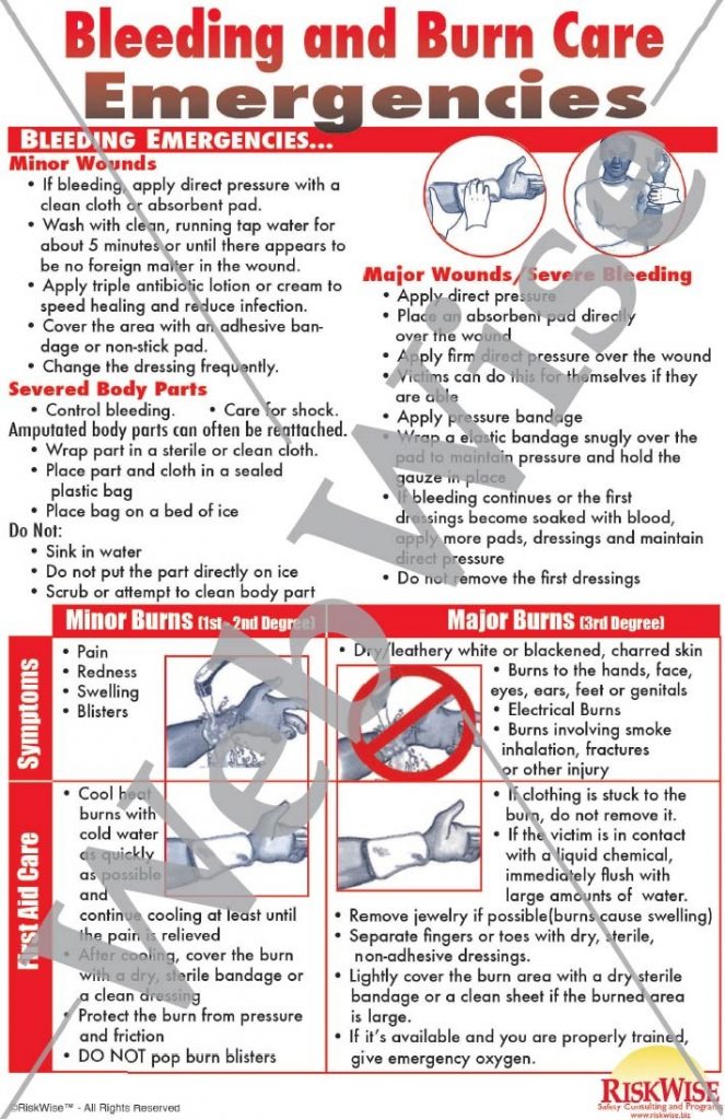 Bleeding and Burn Care Poster – RiskWise